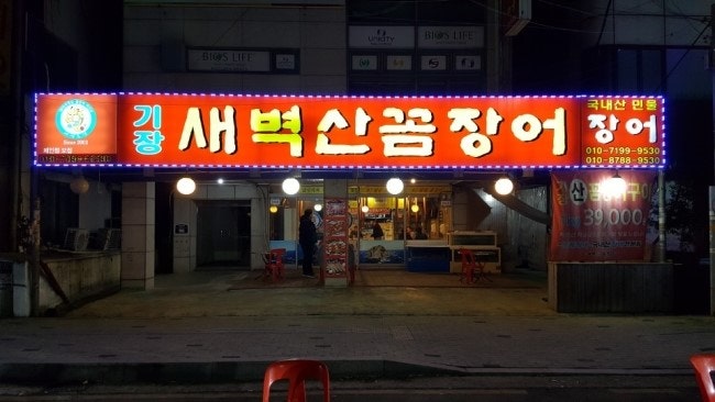 수원 권선동 기장 새벽 산 꼼장어!!!