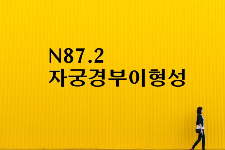  (N87.2) 자궁경부이형성증, CIN 3[III] 상피내암 보험금 수령!