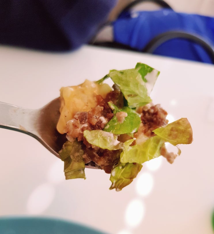 대구 동성로 파스타, 타코 맛집 "꿀빵" 대구 동성로 파스타, 타코 맛집 "꿀빵"