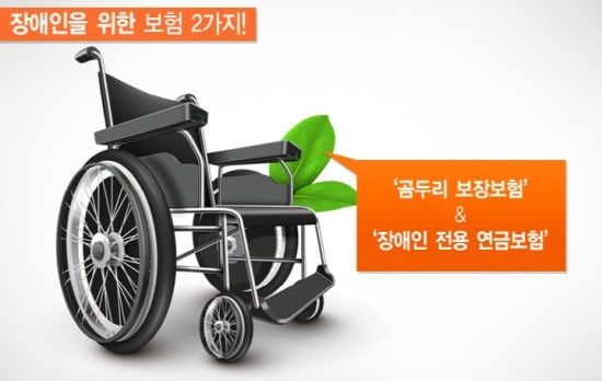 유명무실한 '장애인 보험' 정비 시급 - 평창 동계 ‘패럴림픽’ 앞두고 장애인 차별철폐 관심 커져 ...통계 자료부터 명확화 요구 유명무실한 '장애인 보험' 정비 시급 - 평창 동계 ‘패럴림픽’ 앞두고 장애인 차별철폐 관심 커져 ...통계 자료부터 명확화 요구