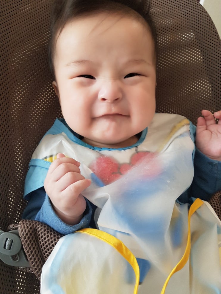  완분아기 초기이유식 식단표와 이유식 준비 총정리