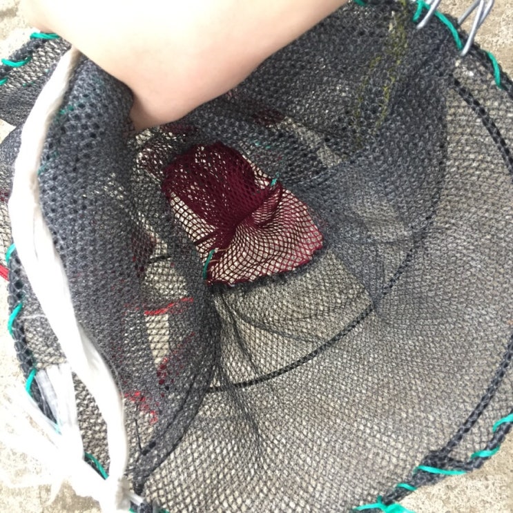 통발낚시로 메기를 낚자!