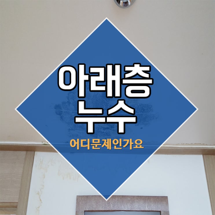  아래층누수 어디문제인가요