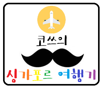  [싱가포르3박5일자유여행] "굿바이, 싱가포르"