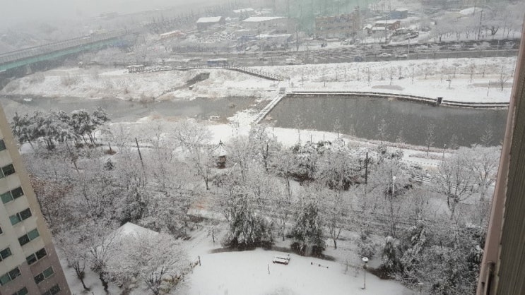  대구 눈 너무 많이 오네요