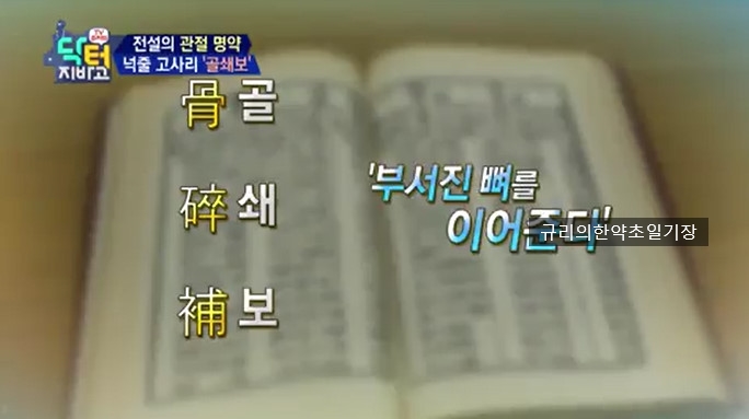  골쇄보 효능