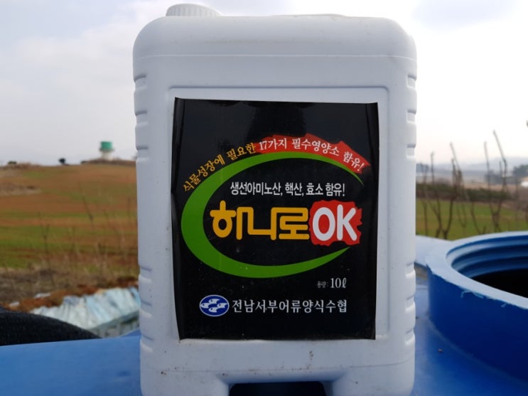 기분좋은 하루 기분좋은 하루