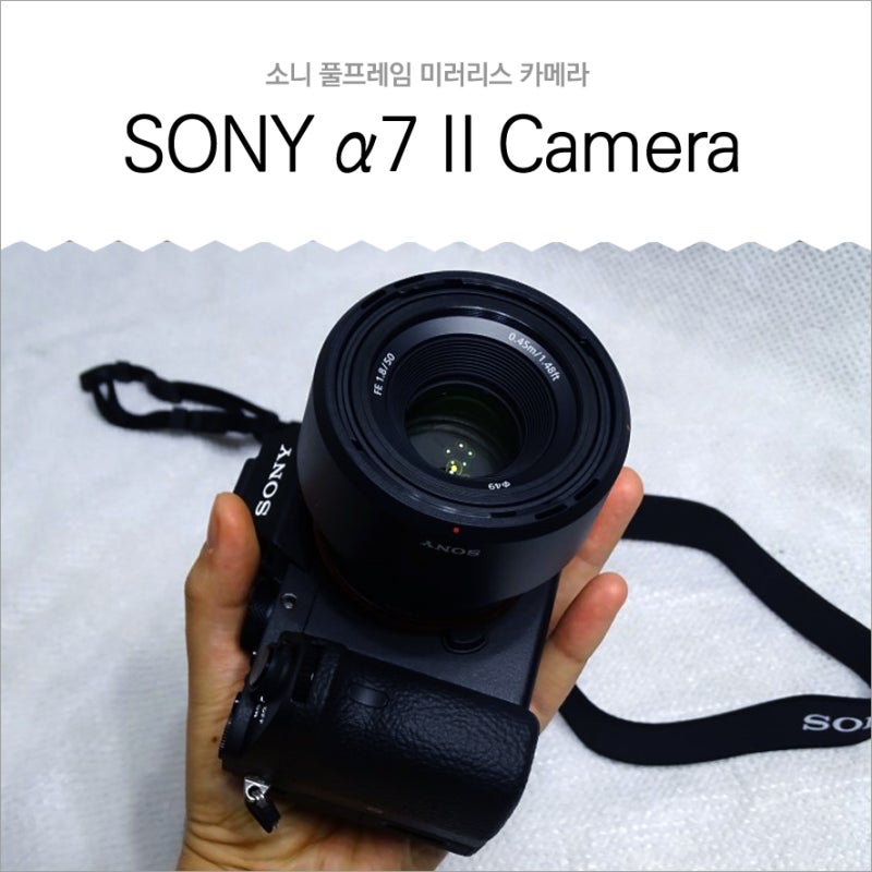 미러리스 카메라 추천, 소니 a7m2(a7ii,a72) 리뷰 + 찍은사진