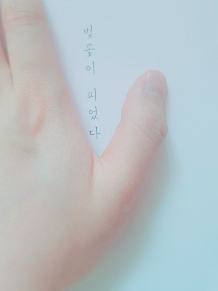벚꽃이 피었다<치하야 아카네> 벚꽃이 피었다<치하야 아카네>