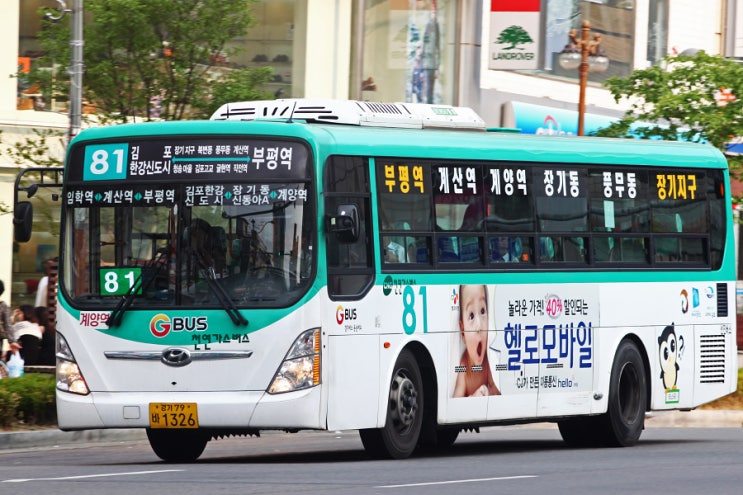 김포] 선진버스 81번 버스 노선 안내 『 한강신도시 ↔ 풍무동 ↔ 작전역 』 : 네이버 블로그