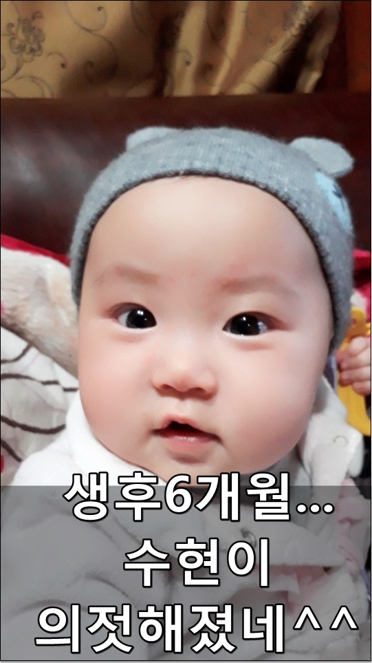  생후6개월 수현이 많이 의젓해졌네요^^