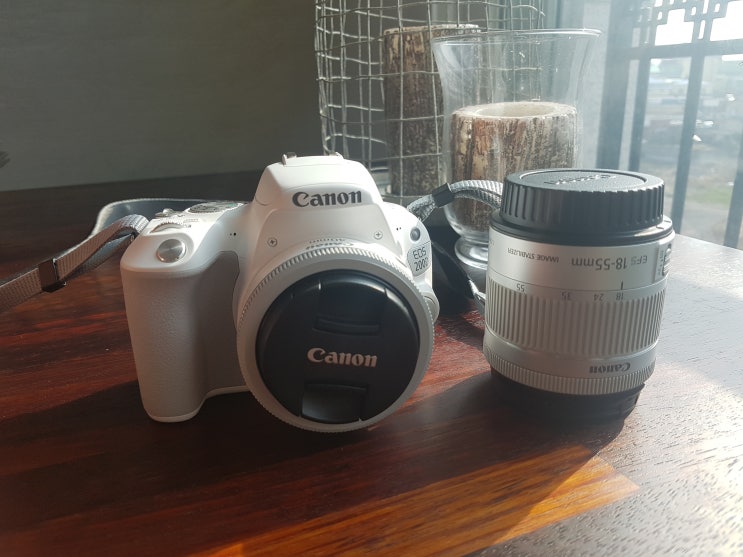 제주파파의 DSLR 캐논 EOS200D 카메라 구입~ 제주파파의 DSLR 캐논 EOS200D 카메라 구입~