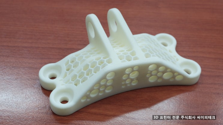 [3D프린터전문(주)씨이피테크] 3D 프린팅과 경량과 구조의 접목