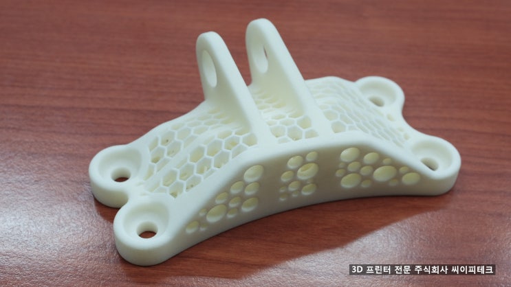  [3D프린터전문(주)씨이피테크] 3D 프린팅과 경량과 구조의 접목