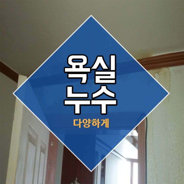  욕실누수 다양하게