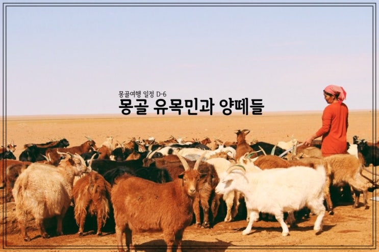  몽골여행 투어 일정 D6 - 몽골 양치기