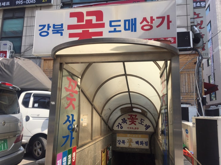  창동 꽃 도매상가 예쁜 꽃 저렴하게~!!