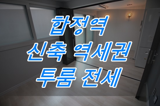 합정동 투룸 임대 전세 구하기 망원동 신축 투룸