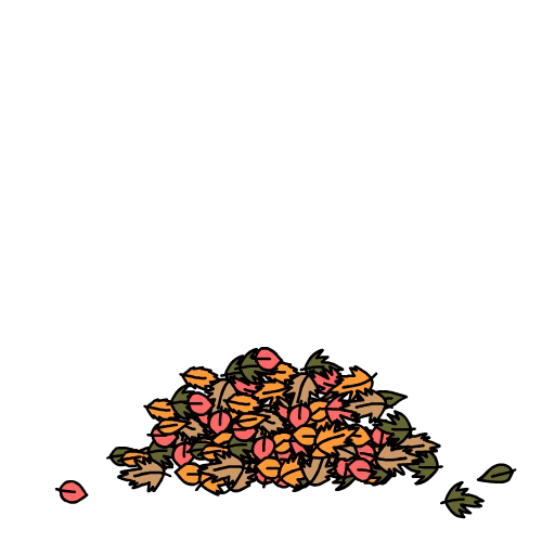 가을 웜톤 팔레트 (가을웜 정리 + 가을웜 연예인)