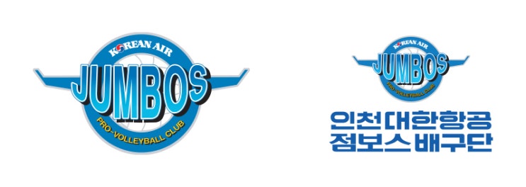 정상을 향해 질주해 나가는 '<b>대한항공 점보스</b>'