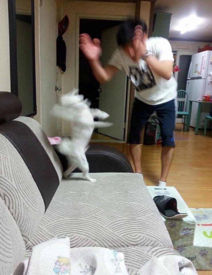  잘한다 잘한다 내새끼!