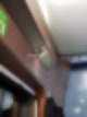 ktx 특실 캐리어,ktx 특실 자전거,ktx 특실 후기,ktx 특실 물,ktx 특실 업그레이드,ktx 특실 콘센트,ktx 특실 좌석,ktx 특실 일반실 차이,ktx 특실 내부,ktx 특실 가격,