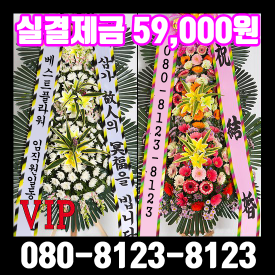 더블<b>에이</b> 스튜디오꽃배달 서교동<b>화환</b> 오만구천원 특급무료배송