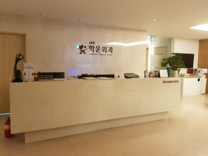 치핵근본수술 리얼 후기