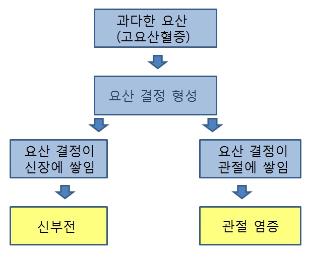  신장을 보호하기 위해 통풍을 치료하세요