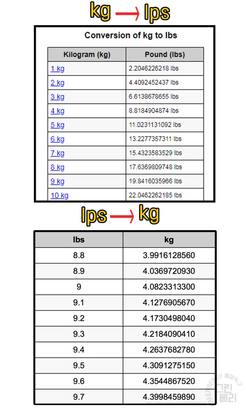 lbs kg 어떤 차이가 있을까? : 네이버 블로그