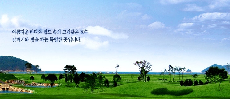  서산수 cc (서산 윈체스트) 컨트리클럽 골프앤리조트 서산 골프장