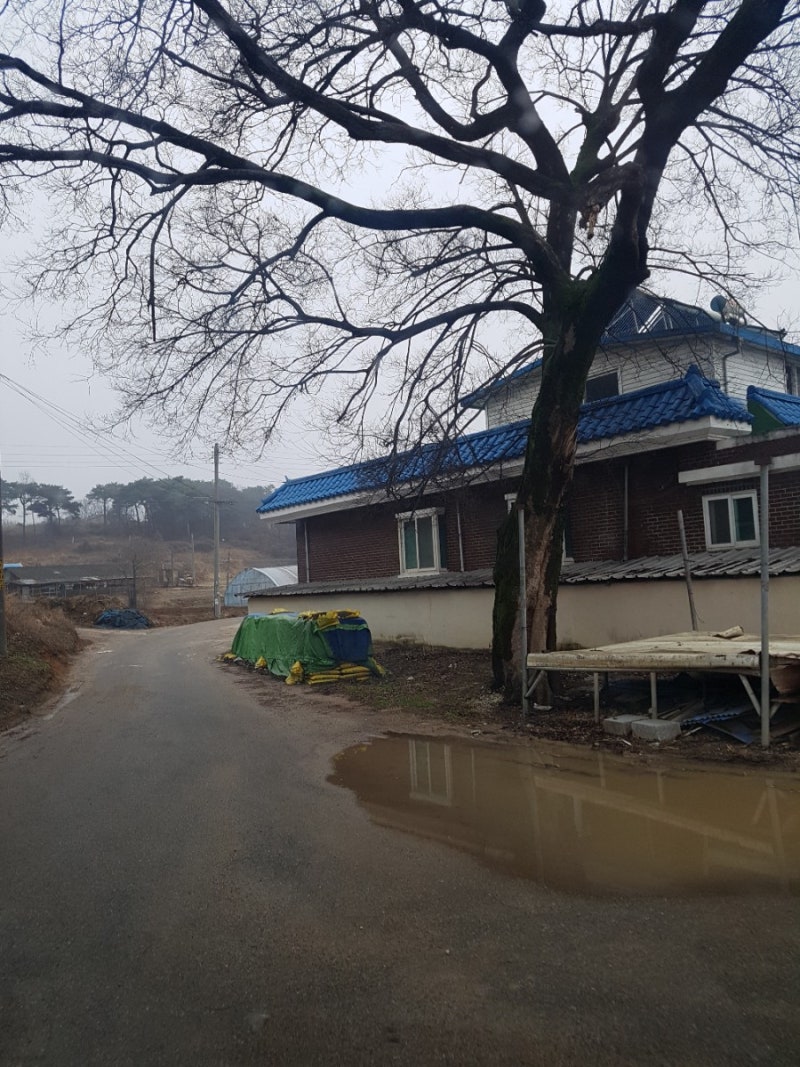 당진 농가주택 매매 712평 1억6천 정말 좋은땅 나왔네요