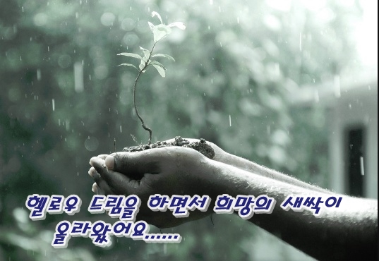  반가운 봄비...헬로우드림을 하는 수시스터즈.