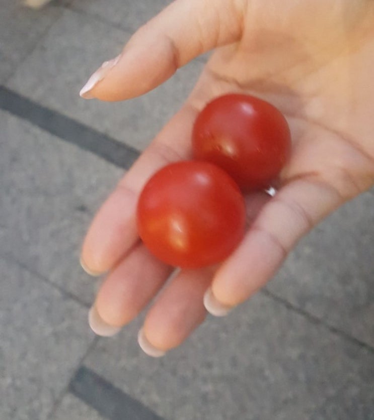  [다이어트 일기] 다이어트 일기 9일차 언제 위가 줄어들까