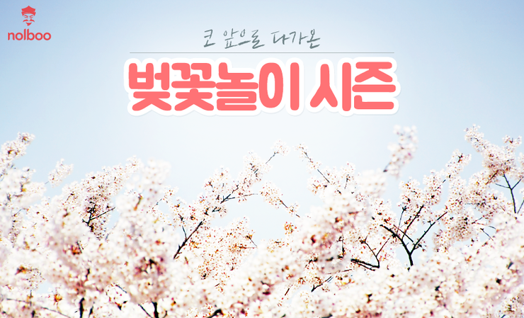  석촌호수 벚꽃 도시락 & 여의도 공수간