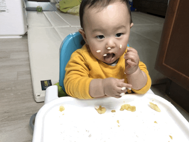  생후 284일 아이주도 밥,