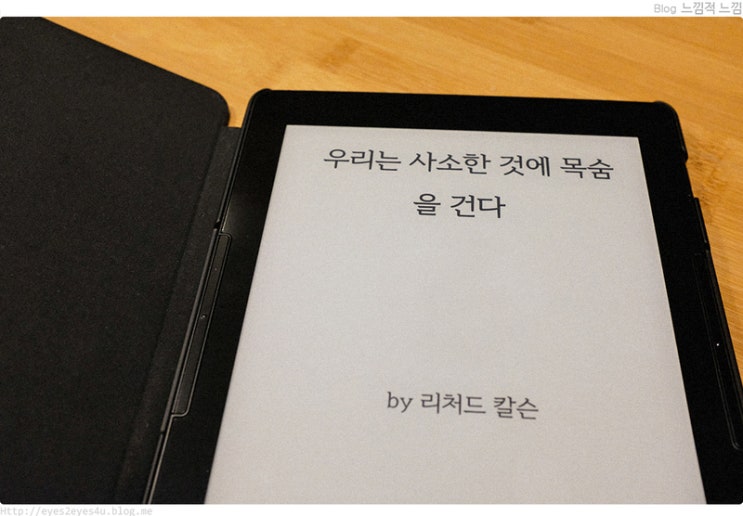  도서 - 우리는 사소한 것에 목숨을 건다