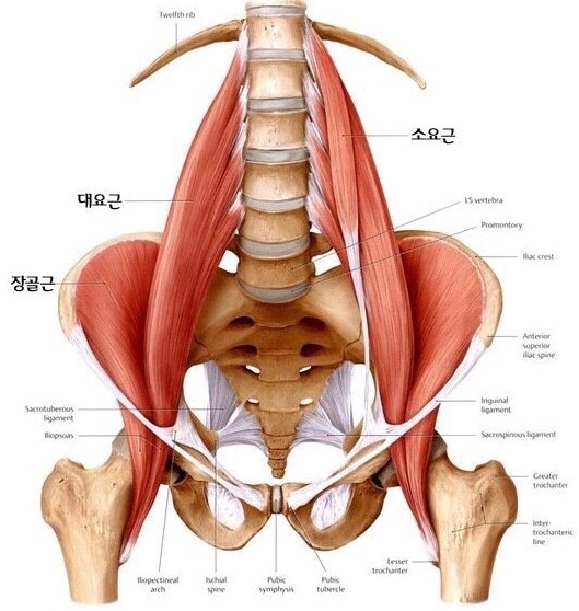 물금튼튼신경외과의원 이미지