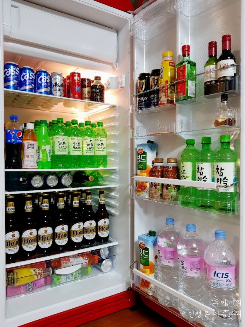스메그 냉장고) 우리집의 소중한 술냉장고 솔직후기 + 소음 [SMEG FAB28K 레드]