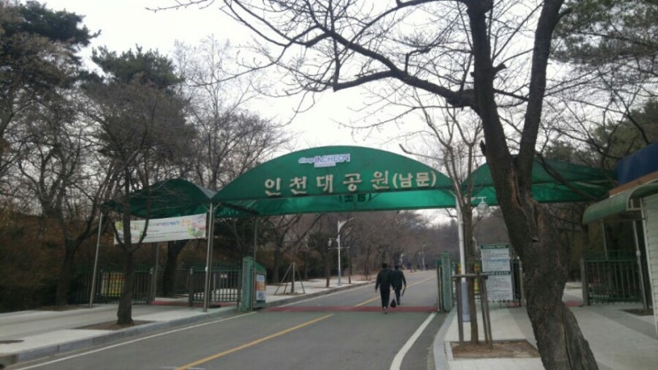 인천에는 인천대공원이 있습니다.