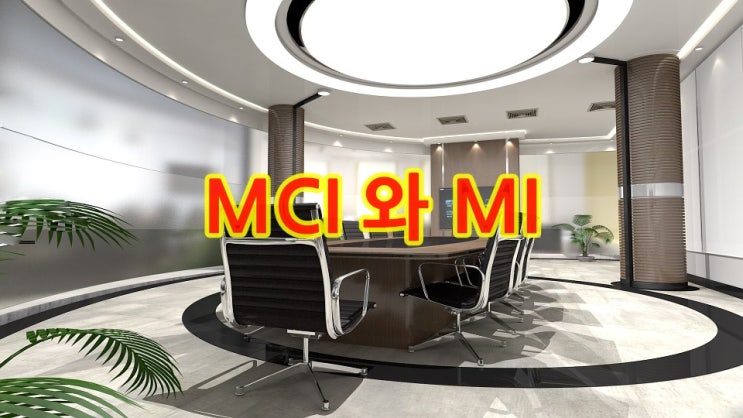 (금융용어)MCI와 MI와의 관계