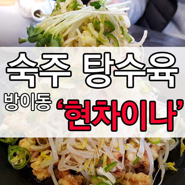  방이동 탕수육 맛집 현차이나 '숙주탕수육'