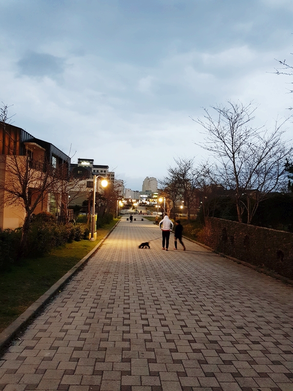  제주도에 태어나서 감사하다.