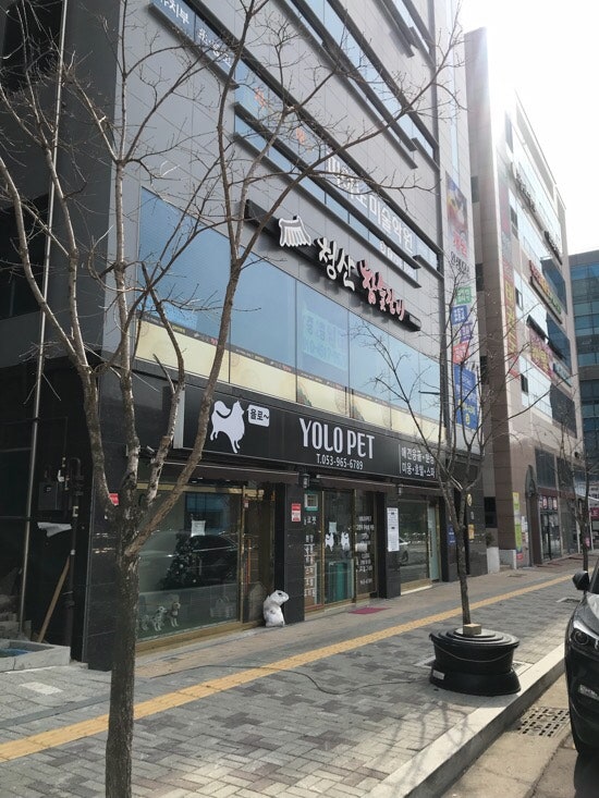 사진 9