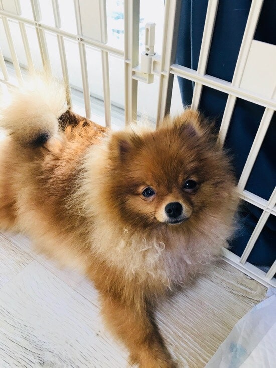 사진 8