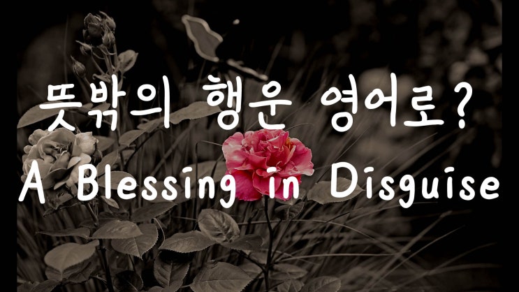  [1MIN 회화영어] 나도 몰랐던 행운, 뜻밖의 행운은 영어로? A blessing in disguise