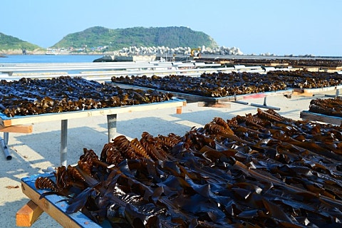 한그릇식탁 이미지