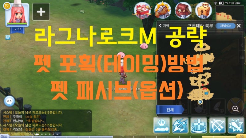 라그나로크M공략-펫 포획(테이밍)방법,패시브,펫모험 : 네이버 블로그 라그나로크M공략-펫 포획(테이밍)방법,패시브,펫모험 : 네이버 블로그