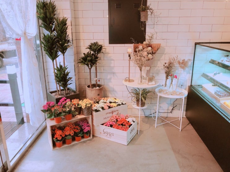  20살’s daily_안산카페::타르트블라썸