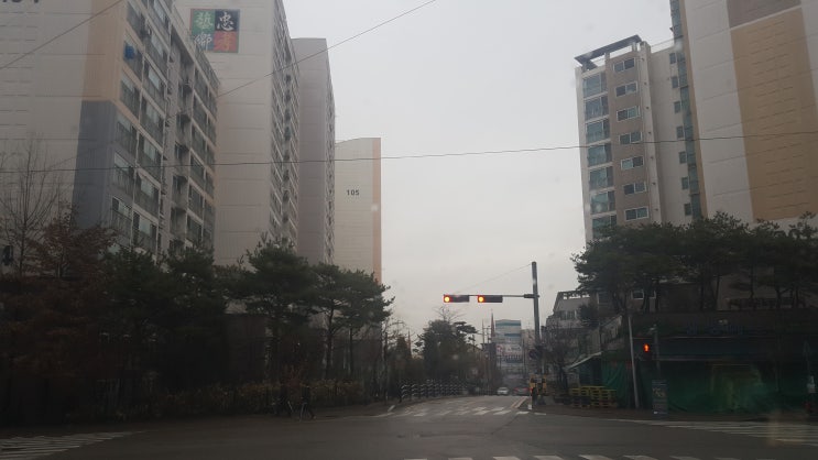  봄비 ... 봄눈 ... 모르겠다 달래 된장찌개 끓여먹자